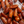 PITTED, ORGANIC DEGLET NOUR DATES 8oz