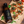 THE ORIGINAL FLAVOR BUNDLE
